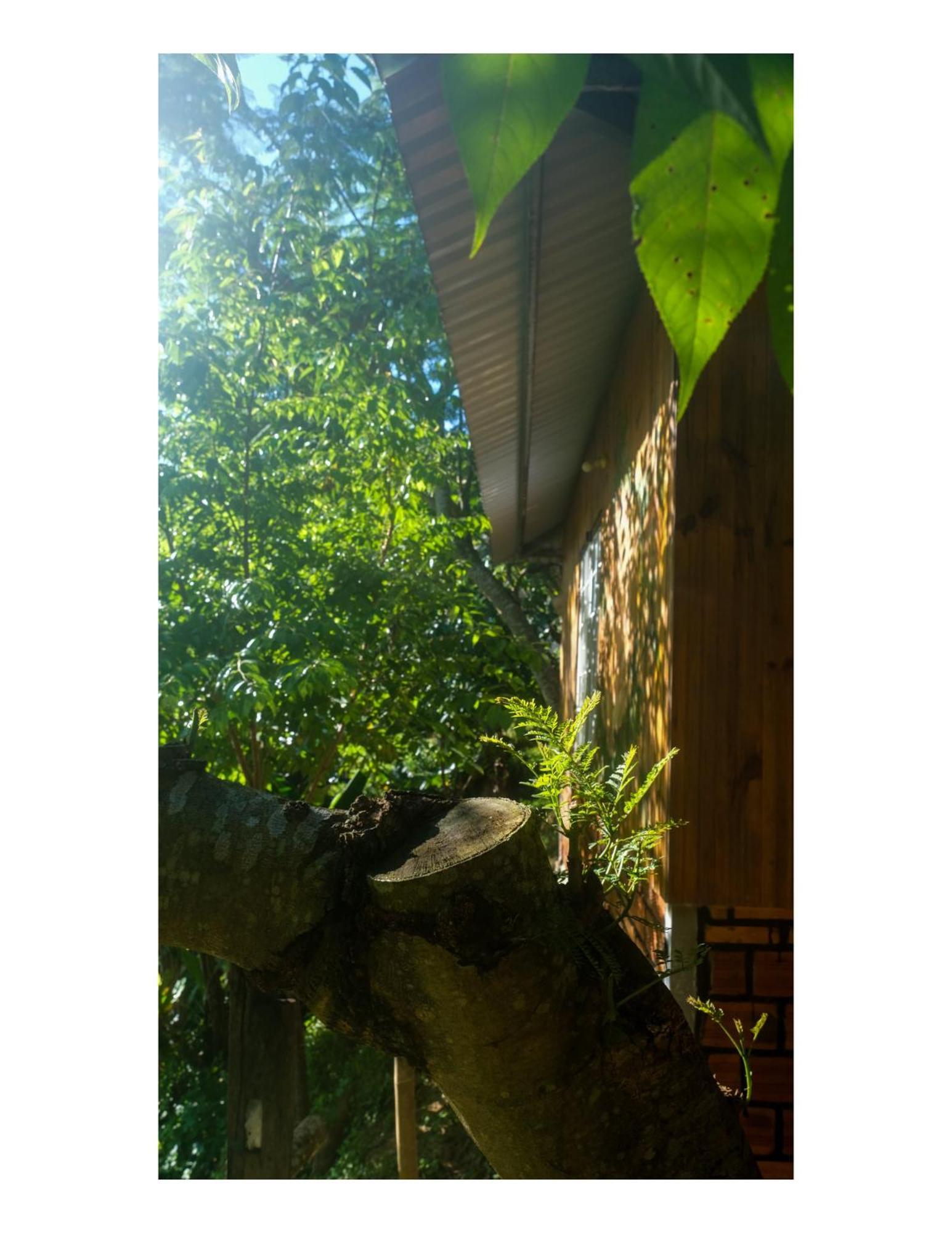 Nha Ben Ho - Da Lat Homestay Экстерьер фото