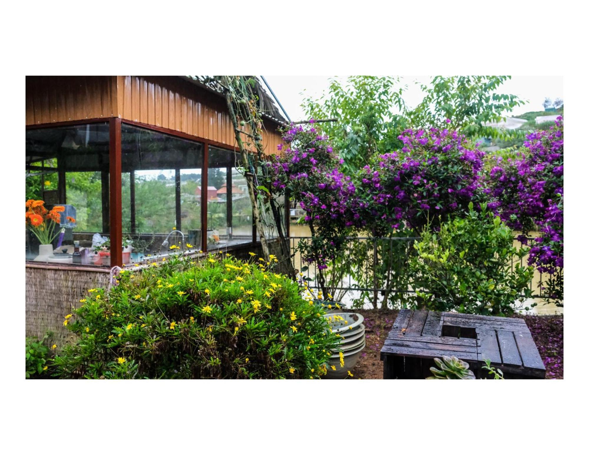 Nha Ben Ho - Da Lat Homestay Экстерьер фото