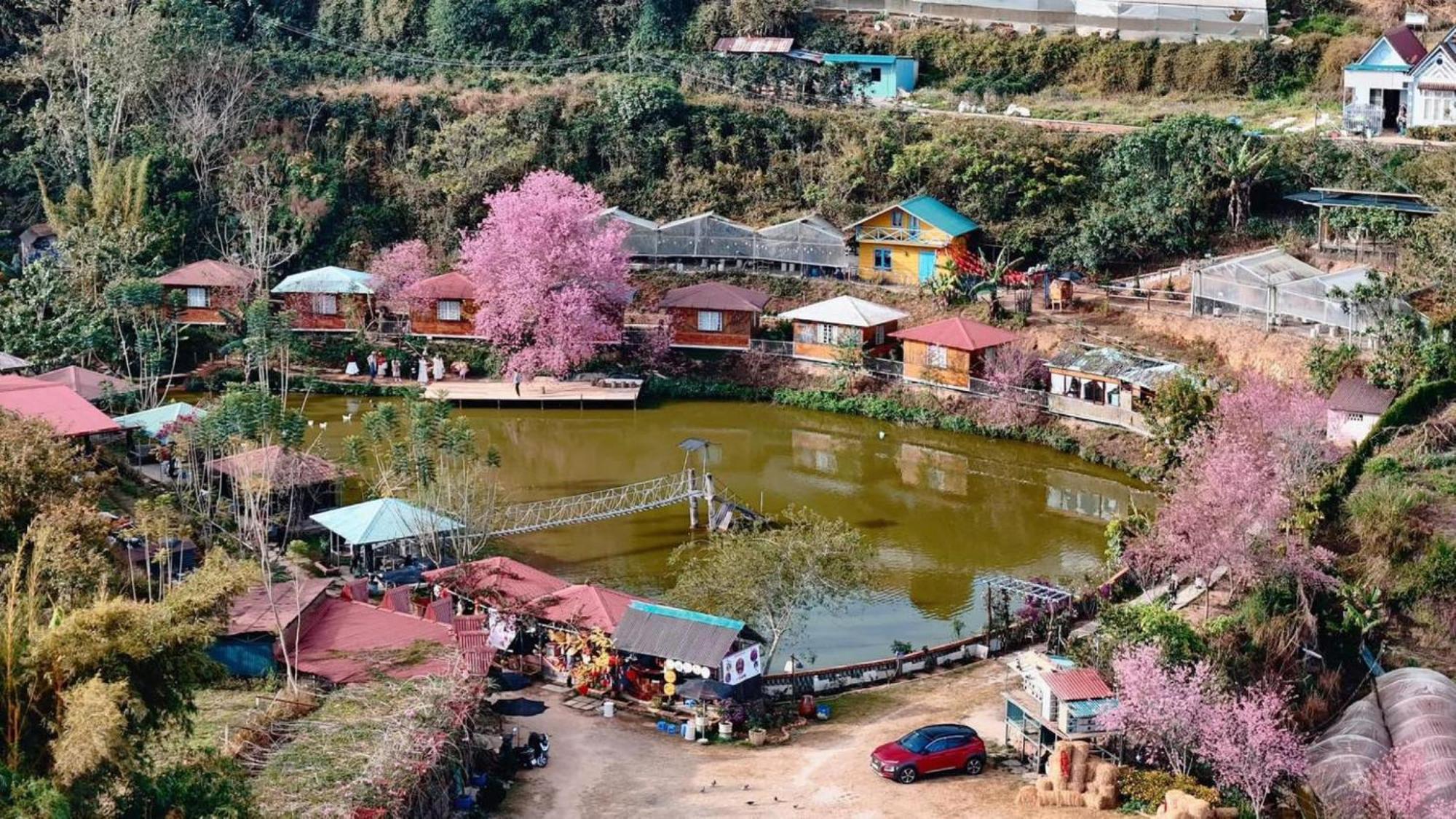 Nha Ben Ho - Da Lat Homestay Экстерьер фото