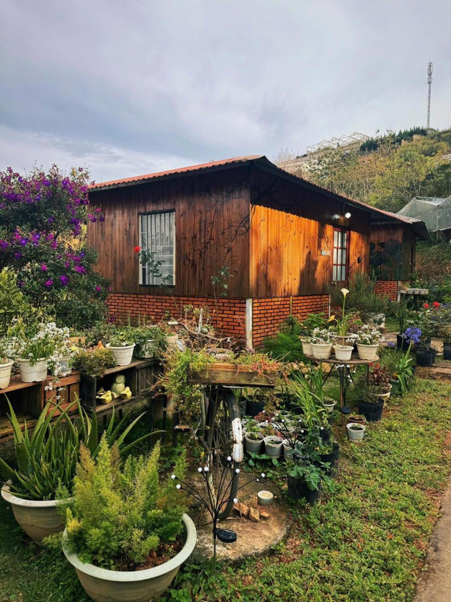 Nha Ben Ho - Da Lat Homestay Экстерьер фото