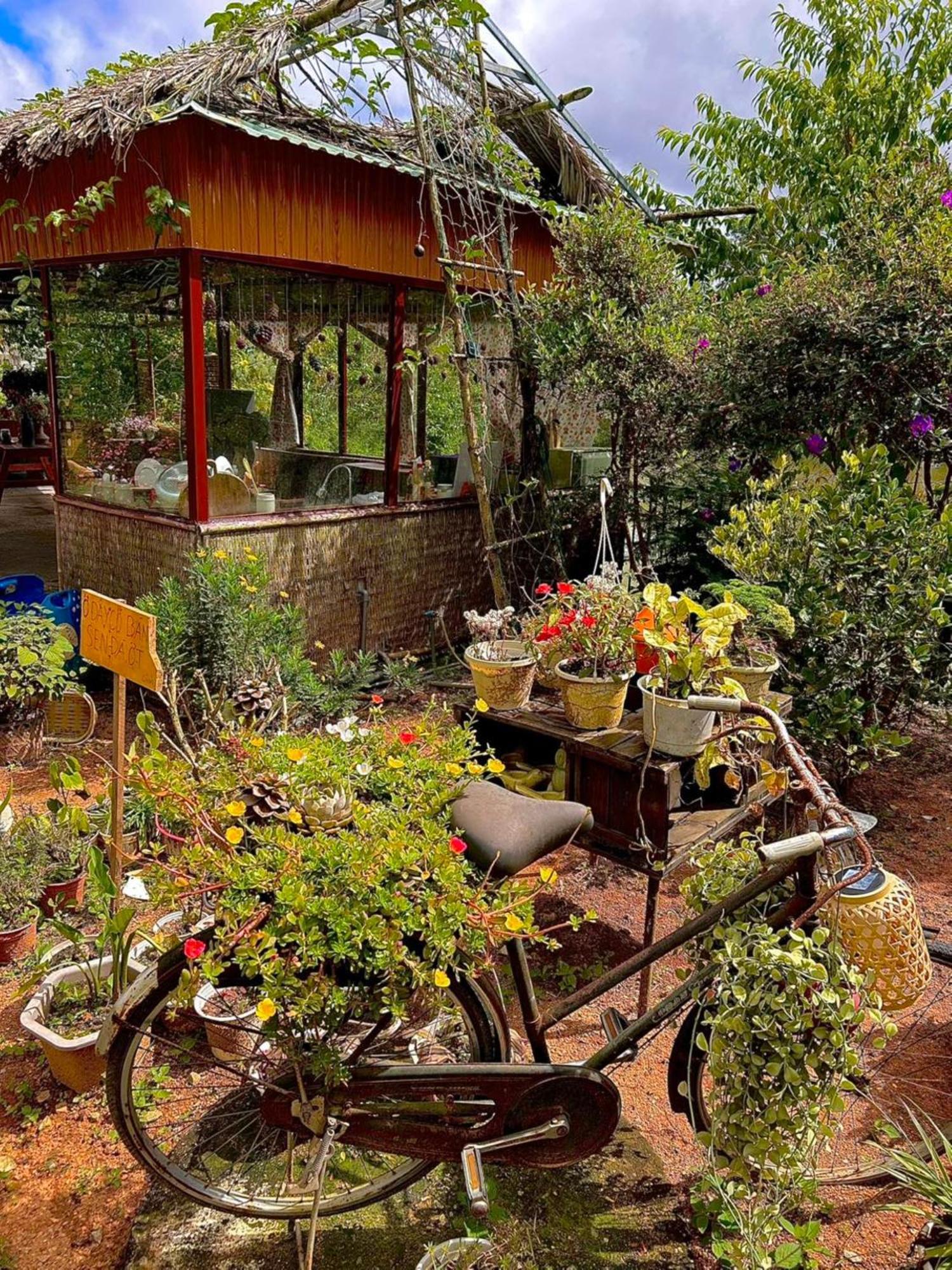Nha Ben Ho - Da Lat Homestay Экстерьер фото