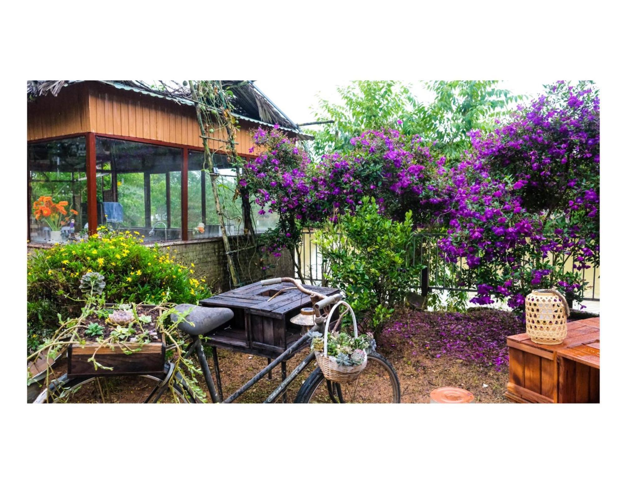 Nha Ben Ho - Da Lat Homestay Экстерьер фото